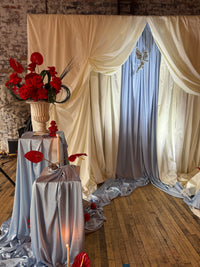 Cupid Disco Backdrop